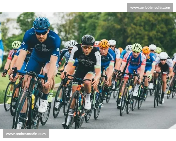 基于数据智能的体育赛事分析与预测平台创新发展路径研究实践