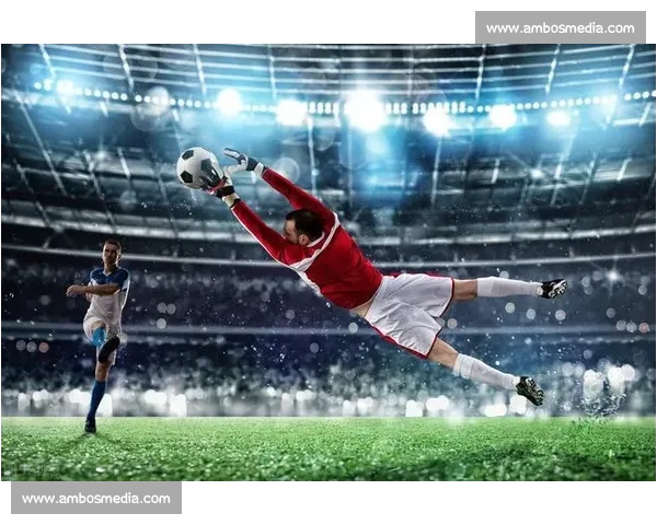 打造专业权威足球赛事网页版平台全景解析与精彩体验指南深度互动攻略