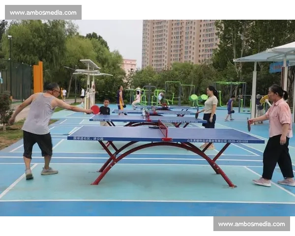 打造全方位体育综合平台提升用户体验和运动热情